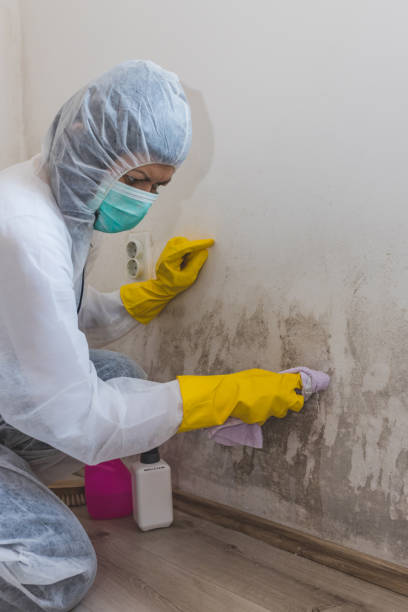Forensic Mold Investigation in Mechanicsville, VA